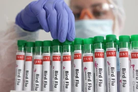 Bệnh nhân nam 59 tuổi, người Mexico, nhiễm virus cúm gia cầm H5N2 và đã qua đời ngày 24/4. (Ảnh minh họa. Nguồn: Reuters)