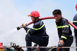 Ảnh minh họa.(Nguồn: TTXVN)