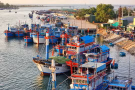 Nhiều địa phương có biển khu vực phía Nam đang ráo riết mở cao điểm chống khai thác hải sản bất hợp pháp. (Ảnh: Nguyễn Thành/TTXVN)