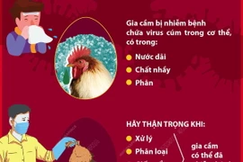 Những điều cần biết để phòng tránh bệnh cúm gia cầm.