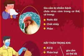 Những điều cần biết để phòng tránh bệnh cúm gia cầm.