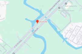 Cầu Phú Mỹ. (Nguồn: Google Maps)