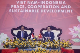 Chủ tịch nước Võ Văn Thưởng và Tổng thống Indonesia Joko Widodo dự chương trình biểu diễn võ thuật. (Ảnh: Thống Nhất/TTXVN)