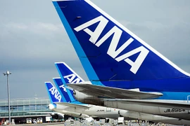 Máy bay của hãng hàng không All Nippon Airways. (Nguồn: iStock)