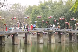 Khách du lịch tham quan Ninh Bình. (Ảnh: Đức Phương/TTXVN)