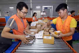 Phân loại hoàng hóa của hãng thương mại điện tử Lazada. (Ảnh: Trần Việt/TTXVN)