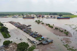 Tàu thuyền chủ động neo đậu tránh trú bão tại Cảng cá Tân Sơn (thị trấn Diêm Điền, huyện Thái Thụy, tỉnh Thái Bình). (Ảnh: Vũ Quang/TTXVN)