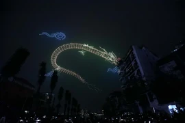 Màn trình diễn ánh sáng nghệ thuật bằng drone chào Xuân mới trên bầu trời Hà Nội. (Ảnh: Huy Hùng/TTXVN)