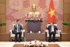 Phó Chủ tịch Quốc hội Nguyễn Đức Hải tiếp Đoàn công tác Ủy ban Cải cách Giáo dục của Quốc hội Philippines lần thứ hai (EDCOM 2). (Nguồn: Cổng Thông tin Điện tử Quốc hội Việt Nam)