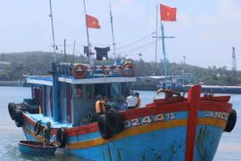 Trạm kiểm soát biên phòng An Hòa (xã Tam Quang, huyện Núi Thành) kiểm tra tất cả tàu cá trước khi ra khơi. (Ảnh: Đoàn Hữu Trung/TTXVN)