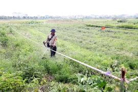 Thực hiện thu hồi đất để triển khai xây dựng điểm dân cư mới. (Ảnh: Mạnh Tú/TTXVN)