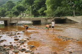 Nước sông Nậm Huống tại xã Châu Thành, huyện Quỳ Hợp, tỉnh Nghệ An chuyển màu đục vàng. (Ảnh: Văn Tý/TTXVN)