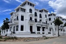 Ảnh minh họa. (Nguồn: TTXVN)