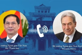 Bộ trưởng Ngoại giao Bùi Thanh Sơn điện đàm với Phó Thủ tướng, Bộ trưởng Ngoại giao New Zealand Winston Peters. (Ảnh: TTXVN)