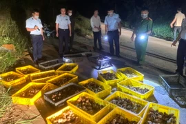Lực lượng chức năng tỉnh Lạng Sơn thu giữ số lượng lớn gia cầm giống nhập lậu. (Ảnh: TTXVN phát)