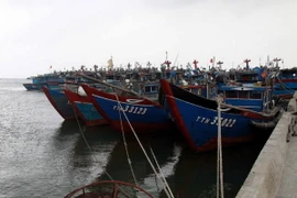 Tàu thuyền neo đậu tránh bão. (Ảnh minh họa: Quốc Việt/TTXVN)