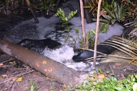 Ảnh minh họa. (Nguồn: TTXVN) 