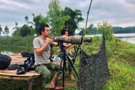 Anh Nguyễn Văn Long cùng cộng sự quan sát hoạt động của rùa Hoàn Kiếm tại hồ Đồng Mô. (Ảnh nhân vật cung cấp)