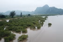 Ảnh chỉ có tính chất minh họa. (Nguồn: PV/Vietnam+) 