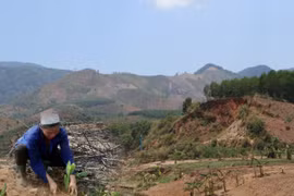 Ảnh chỉ có tính chất minh họa. (Nguồn: Hùng Võ/Vietnam+)
