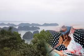 Đảo Cát Bà dần vắng bóng chim trời do vấn nạn bẫy bắt, giết hại chim hoang dã di cư suốt 20 năm qua. (Ảnh: PV/Vietnam+)