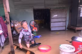 Ảnh chỉ có tính chất minh họa. (Nguồn: Nguyên Linh/TTXVN)