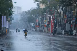 Ảnh chỉ có tính chất minh họa. (Nguồn: TTXVN) 