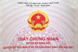 Ảnh minh họa. (Nguồn: Hùng Võ/Vietnam+)