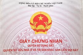 Ảnh minh họa. (Nguồn: Hùng Võ/Vietnam+)