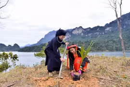 Ảnh chỉ có tính chất minh họa. (Ảnh: CTV/Vietnam+)