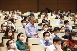 Đại biểu Quốc hội tỉnh Kon Tum Tô Văn Tám phát biểu. (Ảnh: Dương Giang-TTXVN) 