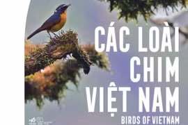 Sách “Các loài chim Việt Nam” với 731 loài chim được ghi nhận tại Việt Nam. (Ảnh: BTC cung cấp)