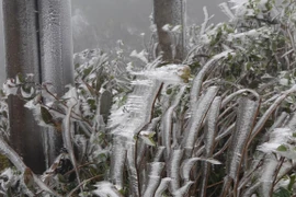 Đợt rét đậm đầu tiên có khả năng sẽ xảy ra vào khoảng giữa tháng 12 tới. (Nguồn ảnh: TTXVN)