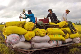 Ảnh minh họa. (Nguồn: TTXVN)