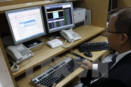 Ảnh minh họa. (Nguồn: TTXVN)