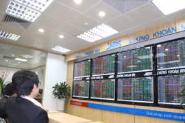 Ảnh minh họa. (Nguồn: ​TTXVN)