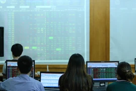 Ảnh minh họa. (Nguồn: PV/Vietnam+)