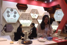Giới thiệu sản phẩm đường Allulose trong sản xuất thực phẩm tại Coex Food Week 2016. (Ảnh: PV/vietnam+)