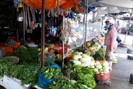 Lắp tấm chắn giọt bắn trước quầy bán hàng tại chợ Thanh Sơn (phường Thanh Sơn, thành phố Phan Rang-Tháp Chàm) để phòng, chống dịch COVID-19. (Ảnh: Nguyễn Thành/TTXVN)