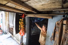 Khu tập thể gỗ mục nát, xuống cấp nghiêm trọng giữa lòng Thủ đô