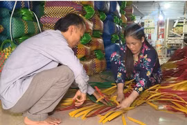 Các cơ sở đào tạo nghề nông thôn góp phần nâng tỷ lệ lao động qua đào tạo. (Ảnh: Đức Hạnh/TTXVN)