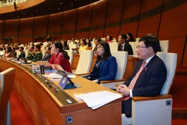 Đoàn đại biểu Quốc hội tỉnh Thái Nguyên dự kỳ họp. (Ảnh: Phương Hoa/TTXVN)