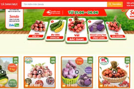 "Phiên chợ nông sản Việt trực tuyến" lên sàn thương mại điện tử Sendo. (Ảnh chụp màn hình)
