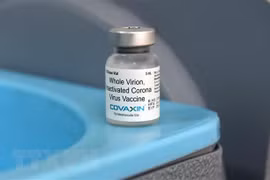 Vaccine Covaxin nội địa của Ấn Độ phòng COVID-19. (Ảnh: AFP/TTXVN)