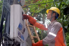 Công nhân điện lực kiểm tra đồng hồ đo điện của các hộ dân. (Ảnh: Văn Đạt/TTXVN) 
