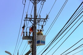 Thi công đường dây trên đường 786, thị trấn Bến Cầu, huyện biên giới Bến Cầu, tỉnh Tây Ninh. (Ảnh: Lê Đức Hoảnh/TTXVN)