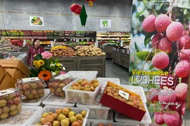 Quảng bá quả vải Việt Nam tại thành phố Perth, bang Tây Australia. (Ảnh: Diệu Linh/Vietnam+)