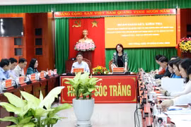 Phó Chủ tịch nước Đặng Thị Ngọc Thịnh phát biểu. (Ảnh: Trung Hiếu/TTXVN)