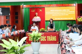 Phó Chủ tịch nước Đặng Thị Ngọc Thịnh phát biểu. (Ảnh: Trung Hiếu/TTXVN)