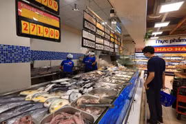 Người dân mua sắm thực phẩm tại siêu thị Co.opmart Hà Nội trong thời gian giãn cách xã hội. (Ảnh: Tuấn Anh/TTXVN)